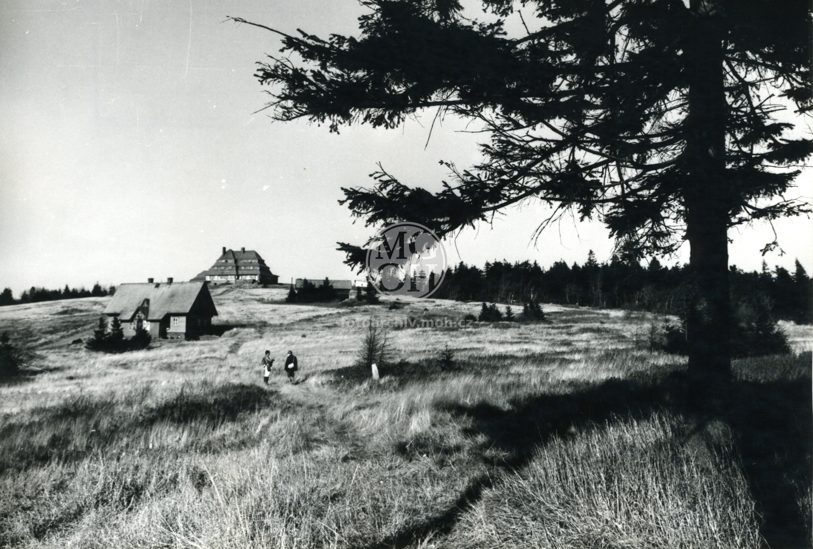 Fotografie - Šerlich - pohled na chatu