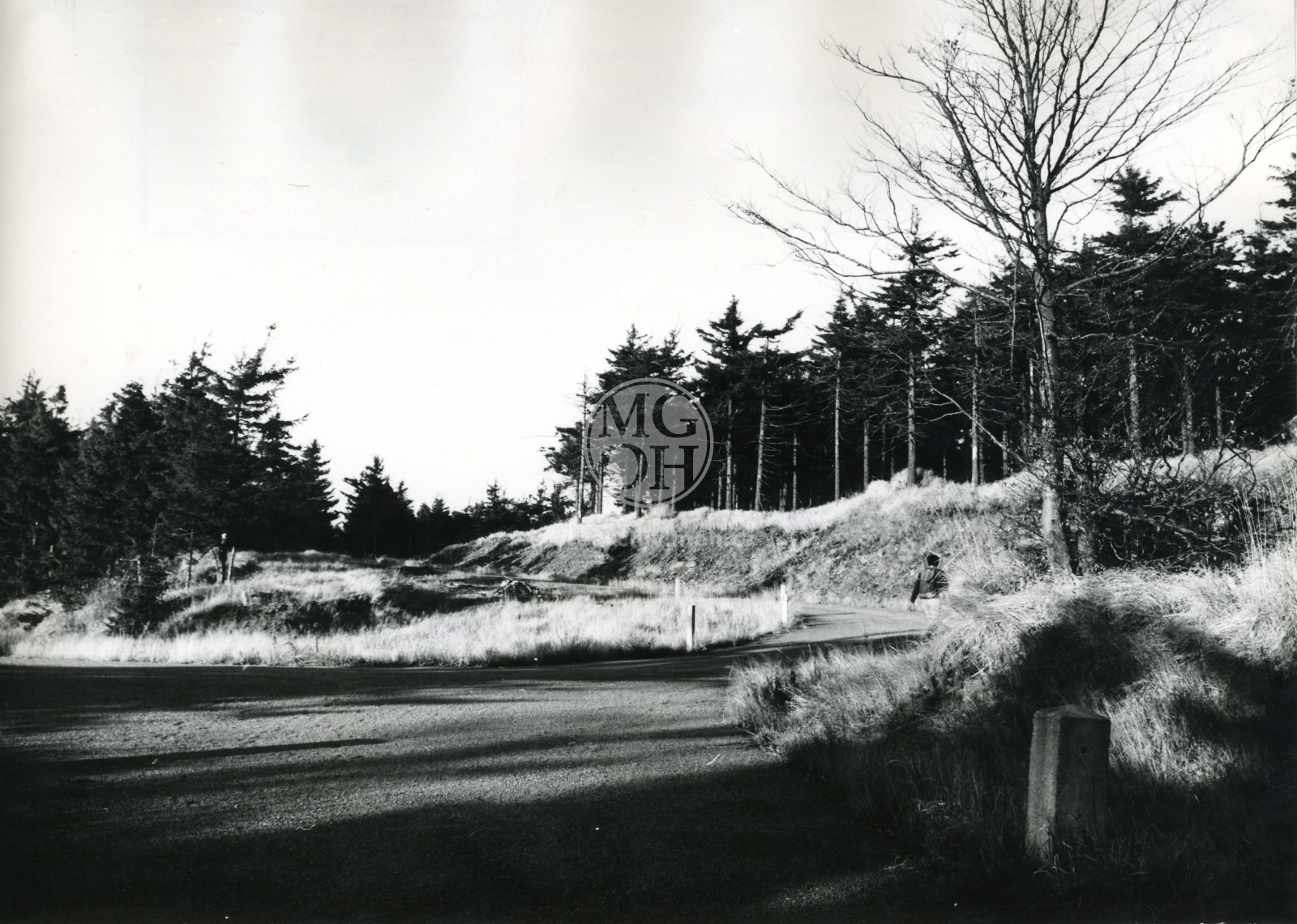 Fotografie - Rezervace Sedloňovský vrch