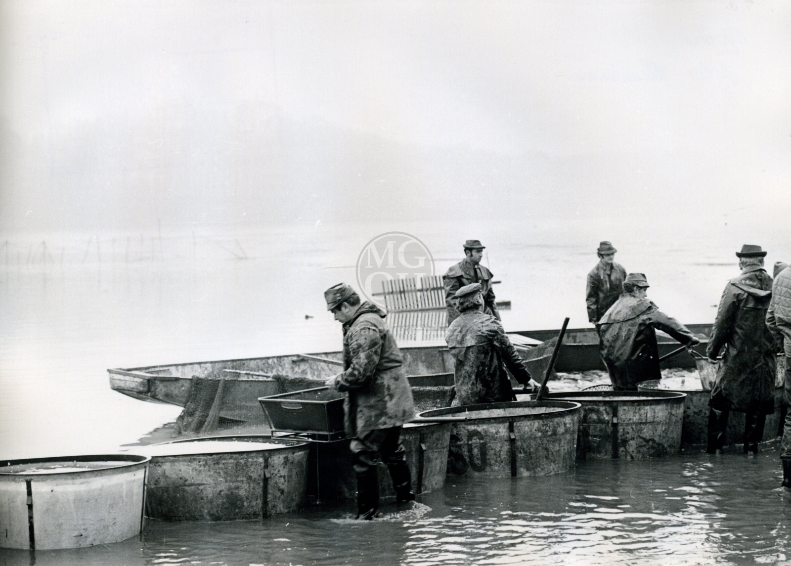 Fotografie - Výlov Broumaru