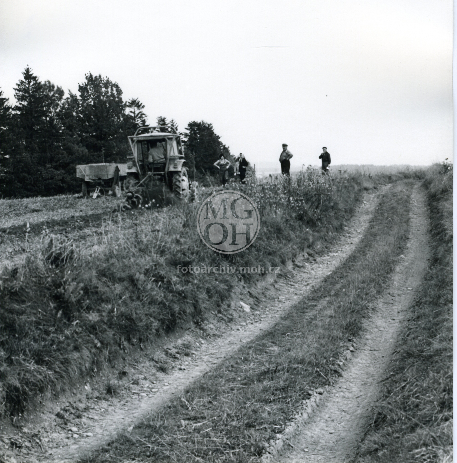 Fotografie - Pracovníci muzea  na bramborové brigádě