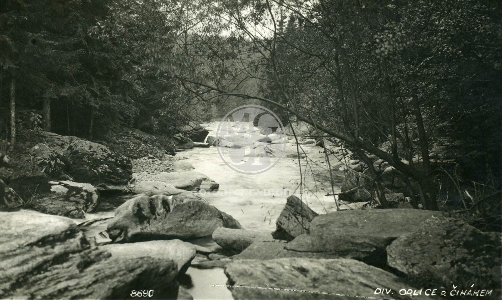 Fotografie - Divoká Orlice pod Čihákem