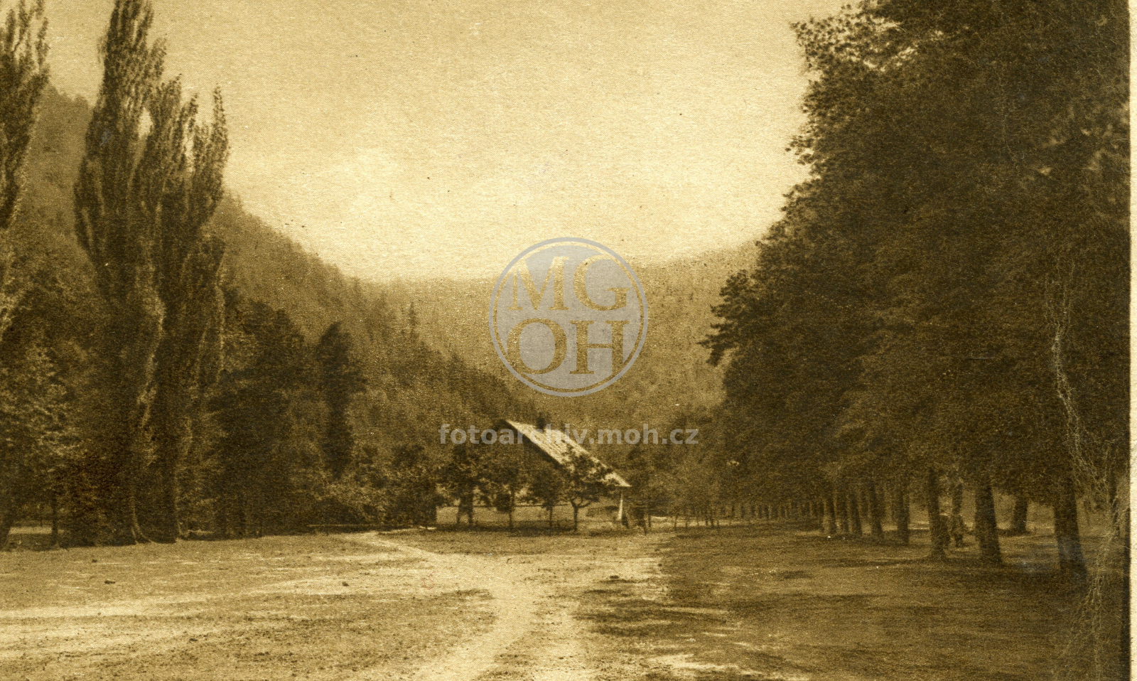 Fotografie - Pod lipami