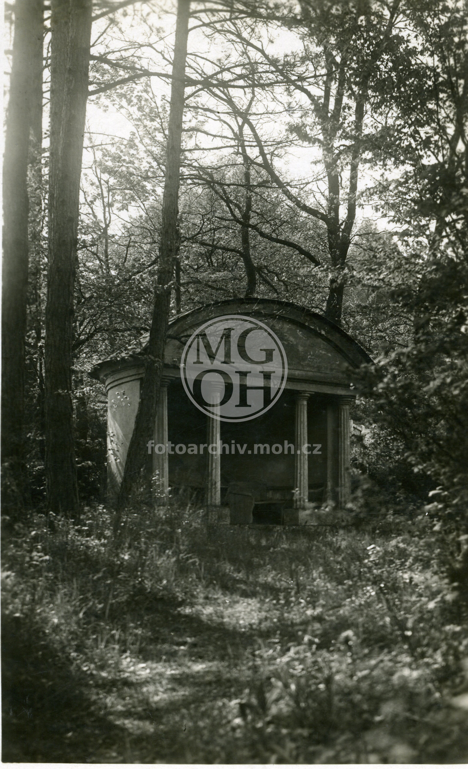 Fotografie - Zámecký park