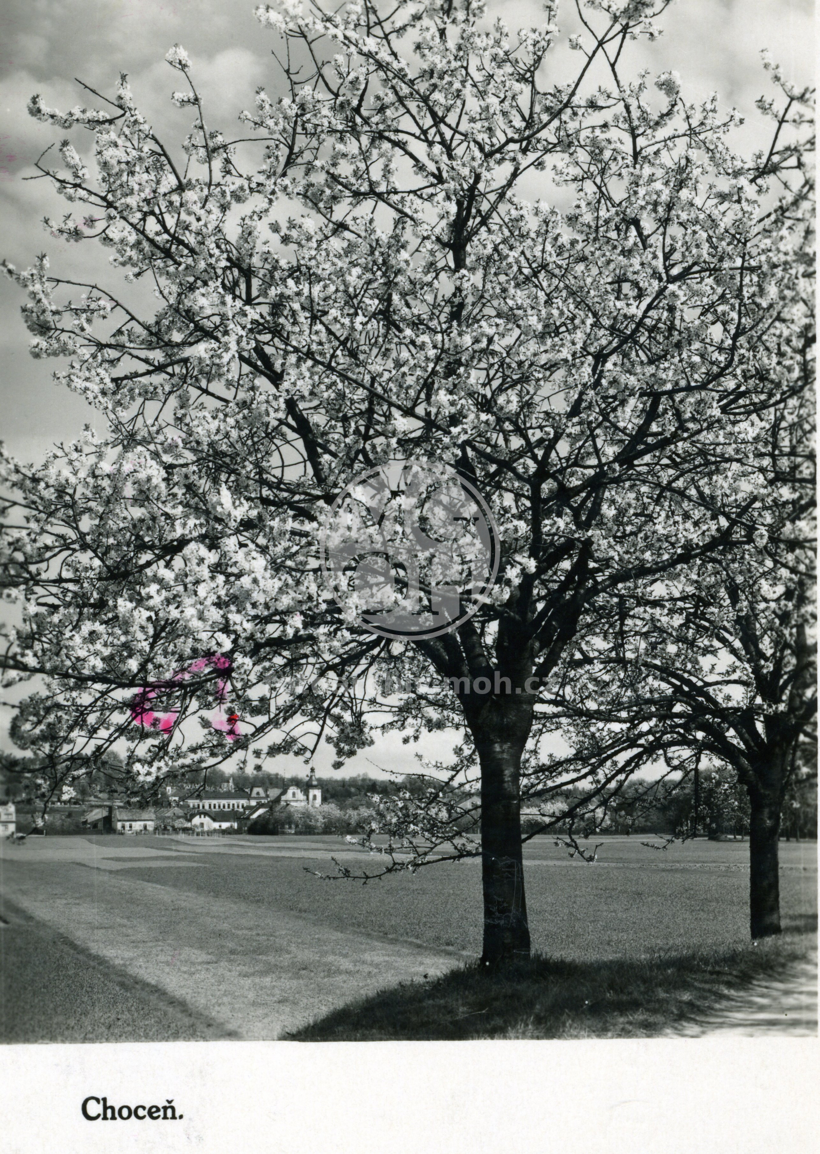 Fotografie - Pohled na město