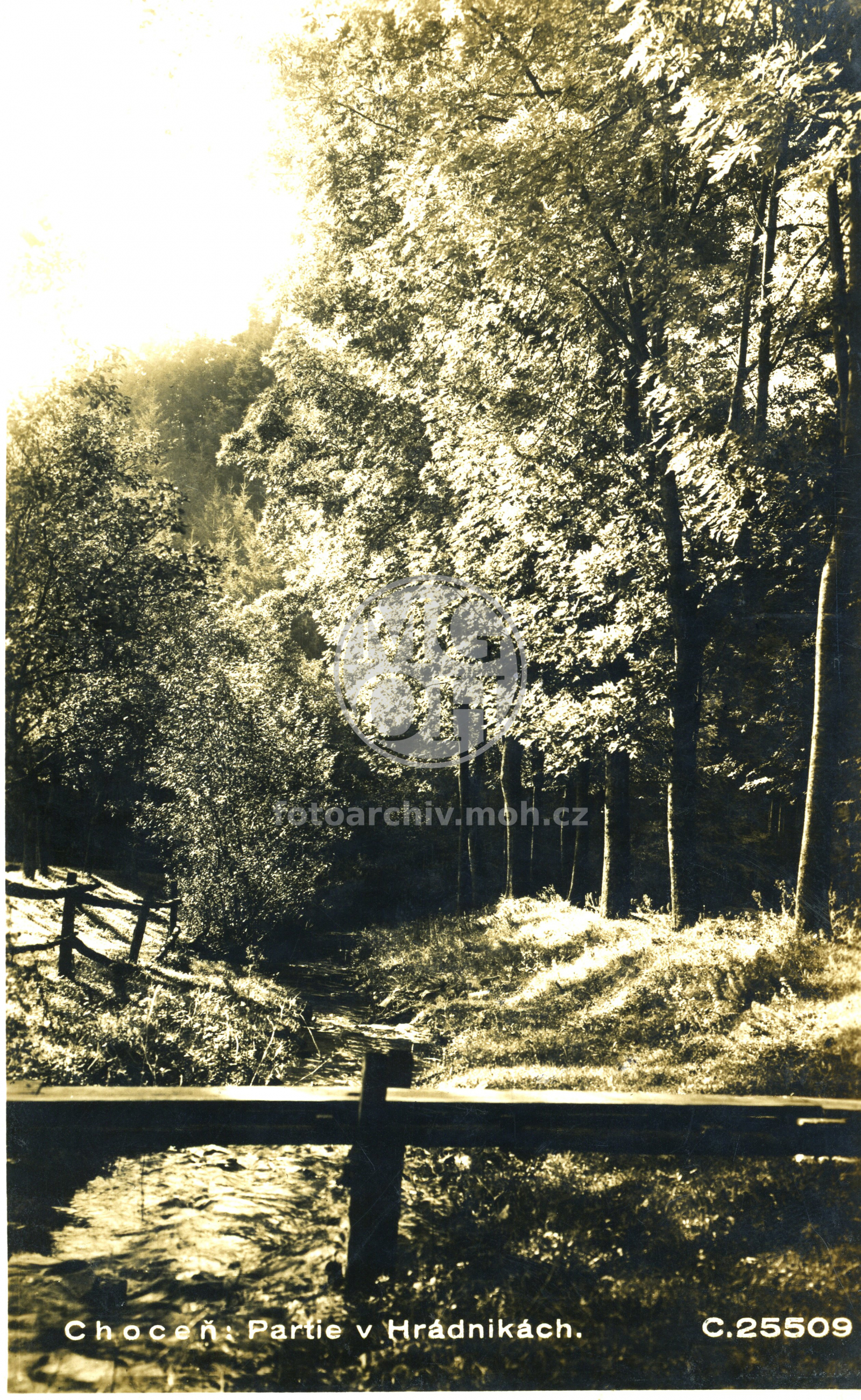 Fotografie - Partie v Hrádnikách
