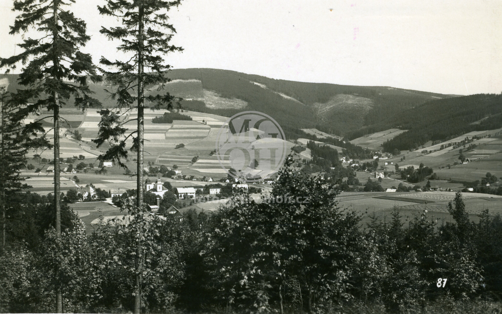 Fotografie - Celkový pohled