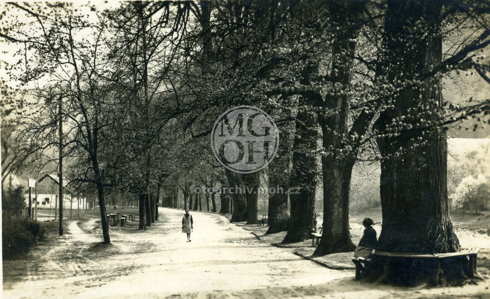 Fotografie - V Lípách