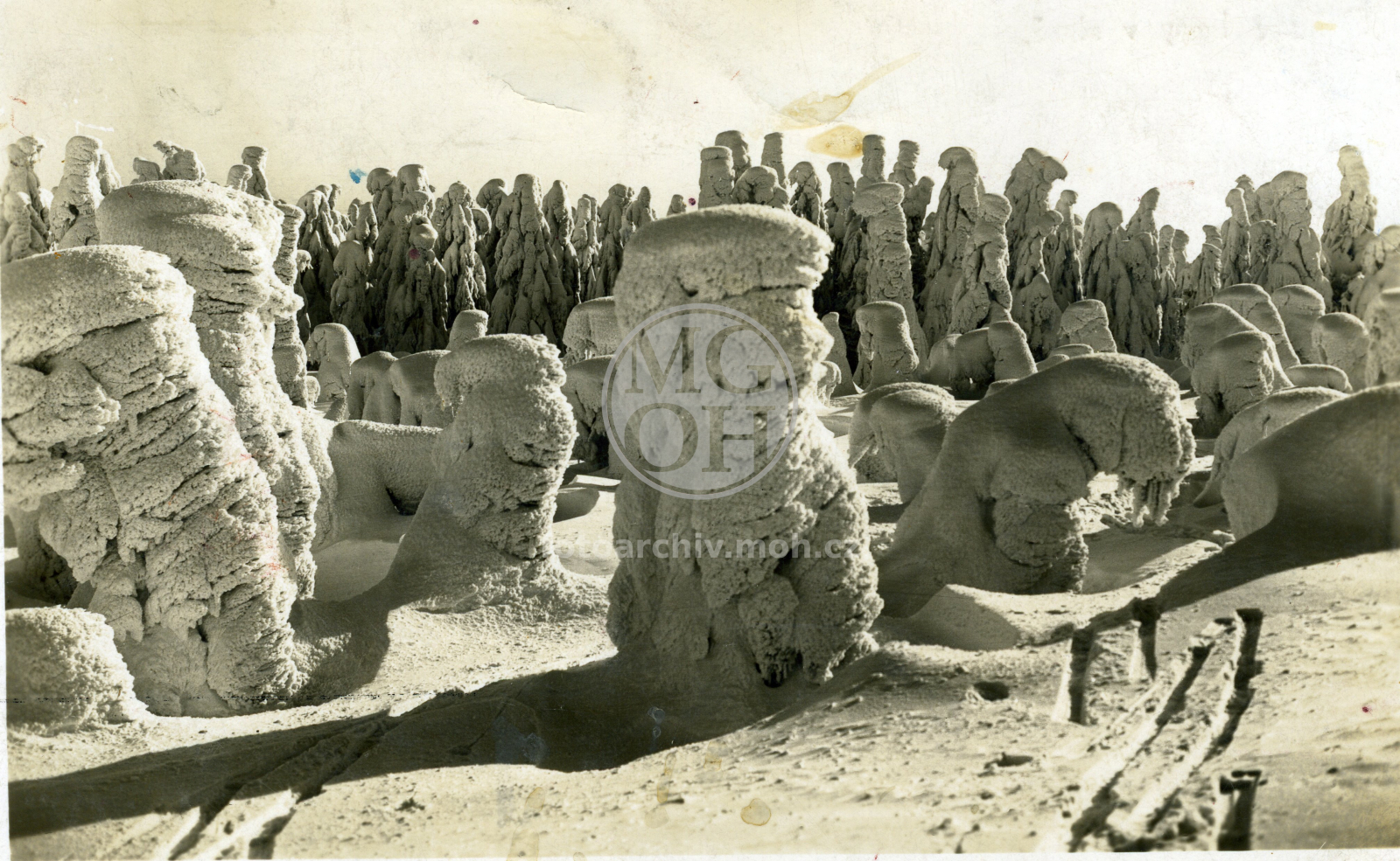 Fotografie - Orlické hory v zimě