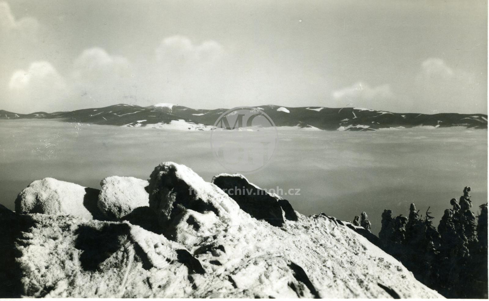 Fotografie - Pohled z rozhledny