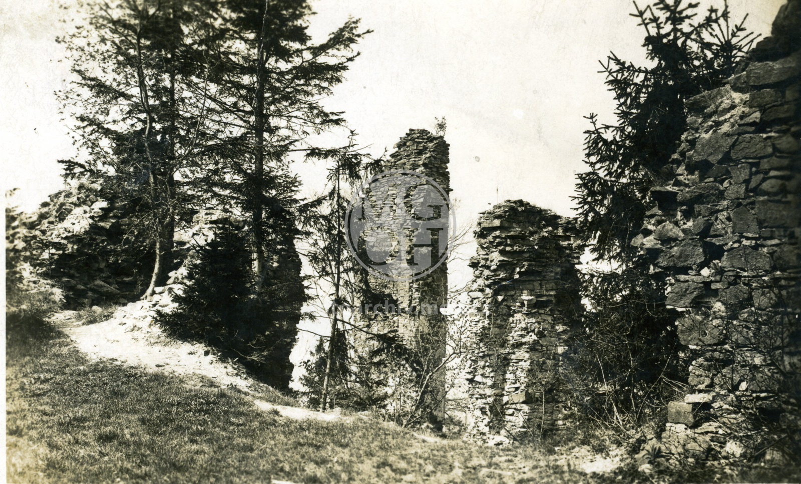 Fotografie - Zříceniny hradu