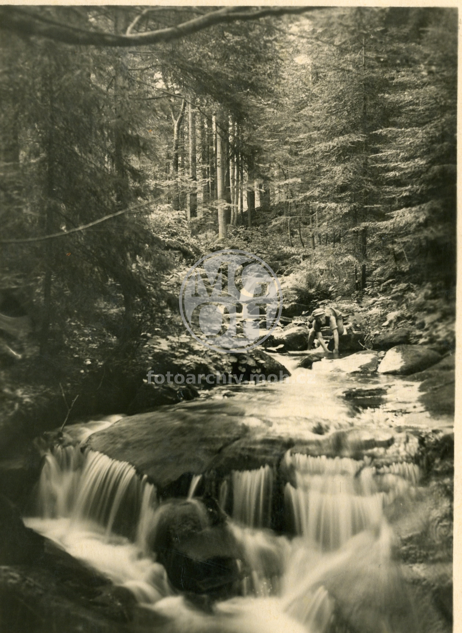 Fotografie - Říčka v lese