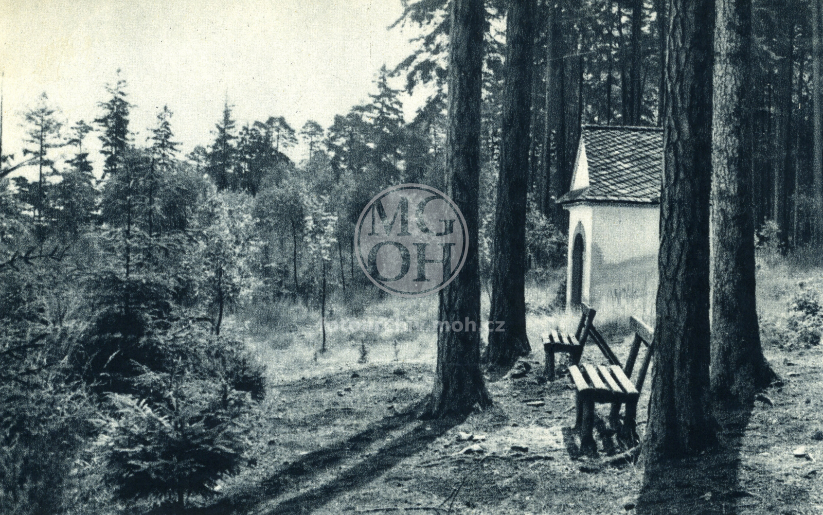 Fotografie - Andrlův chlum