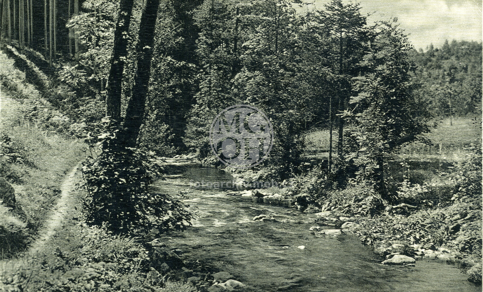 Fotografie - Na zlatém potoku