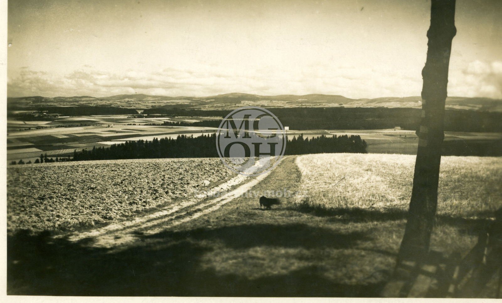 Fotografie - Pohled na Orlické hory z Vyhlídky
