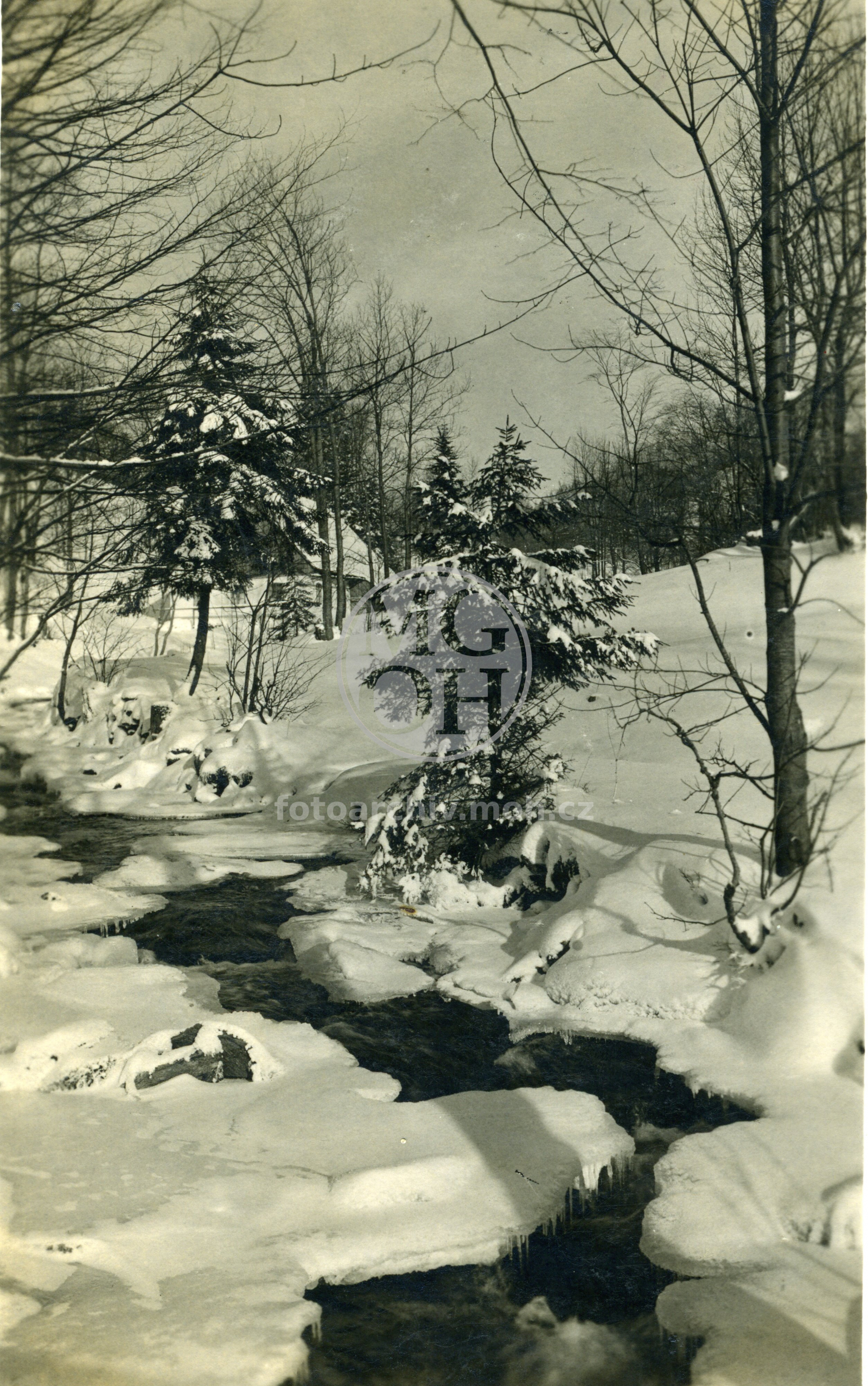 Fotografie - Tok Bělé v zimě