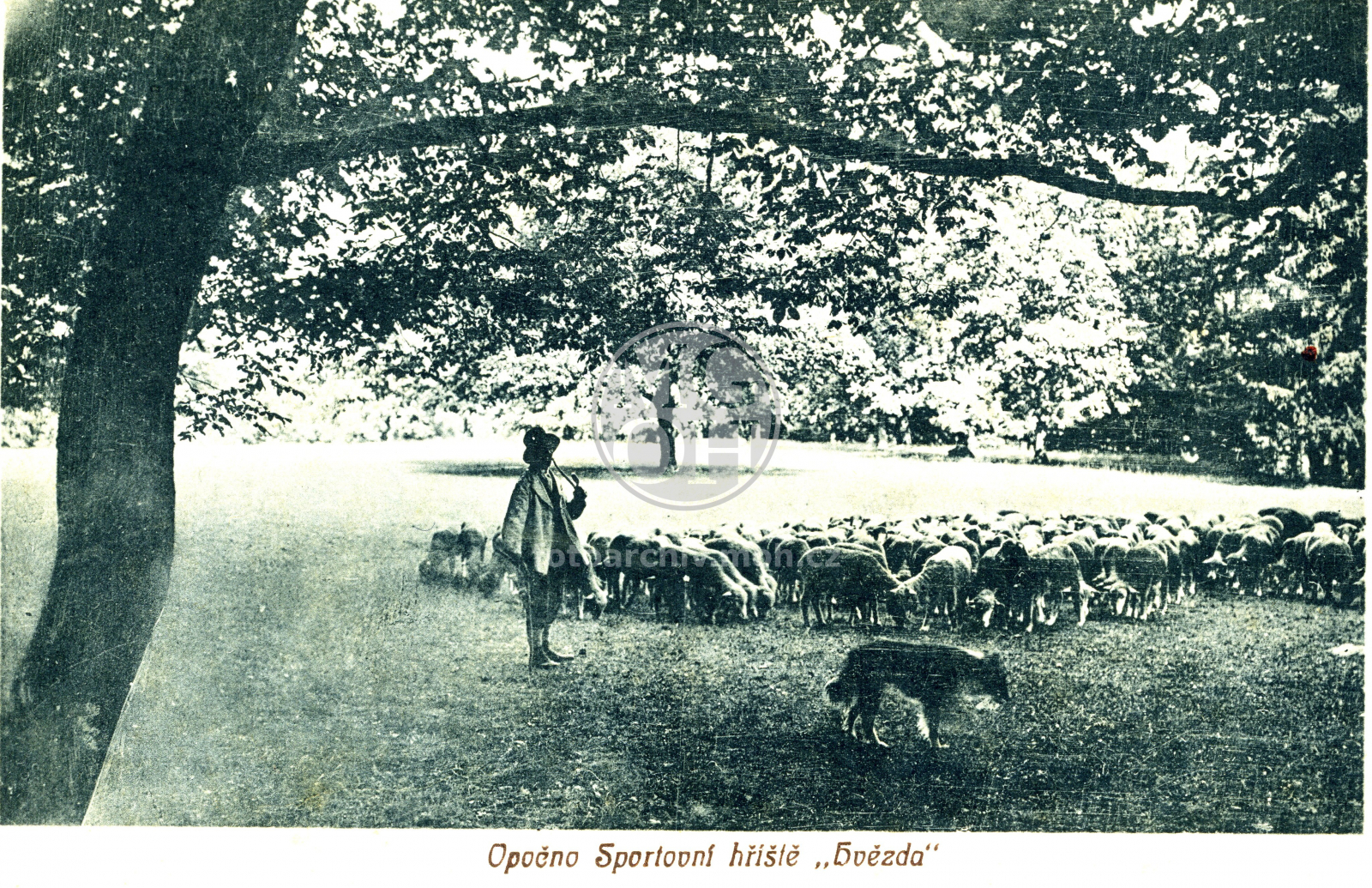 Fotografie - Sportovní hřiště Hvězda