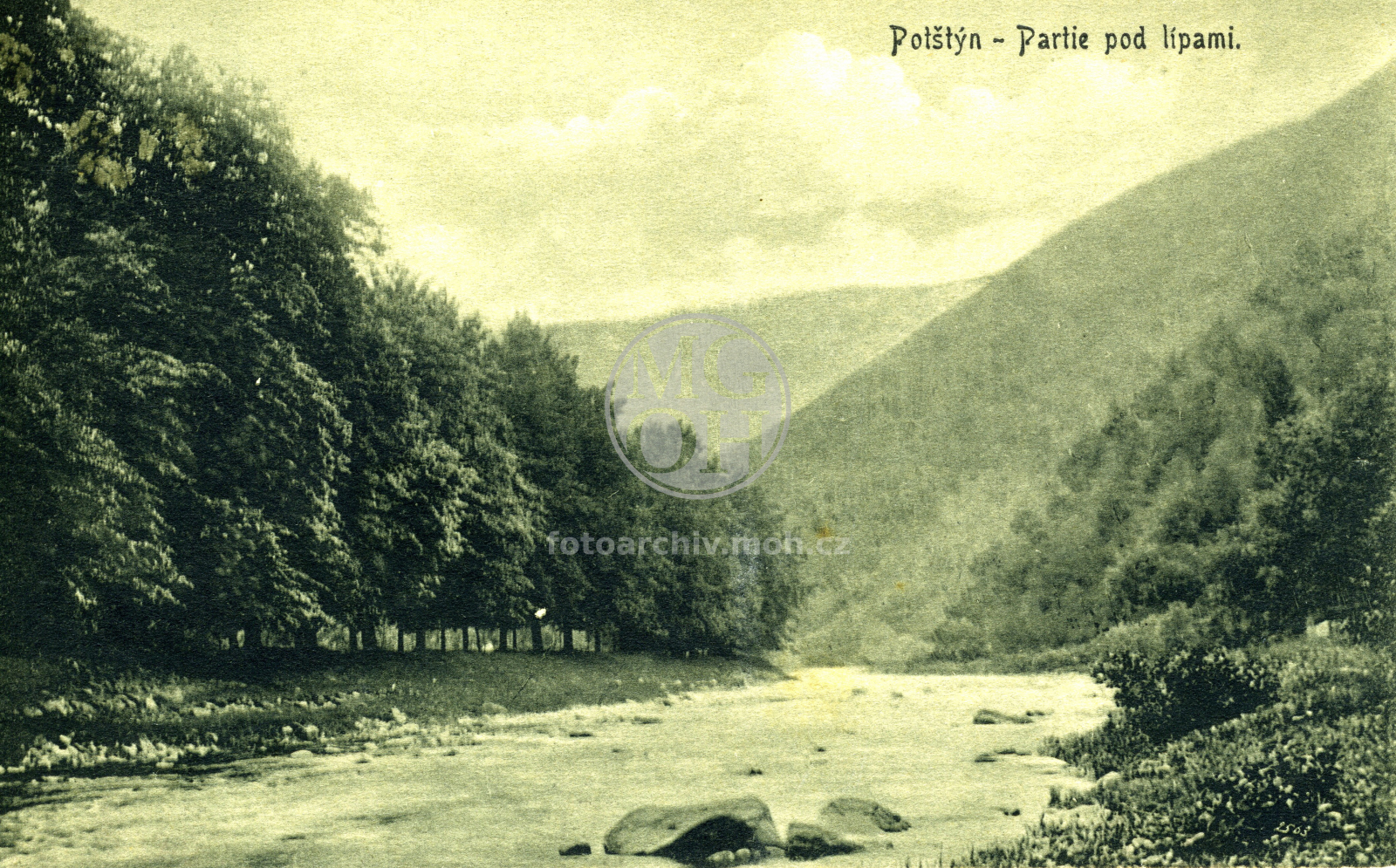 Fotografie - Divoká Orlice -  pod lipami