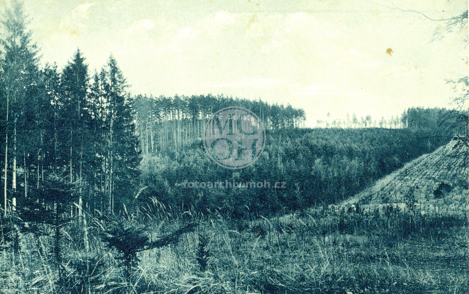 Fotografie - Krajina