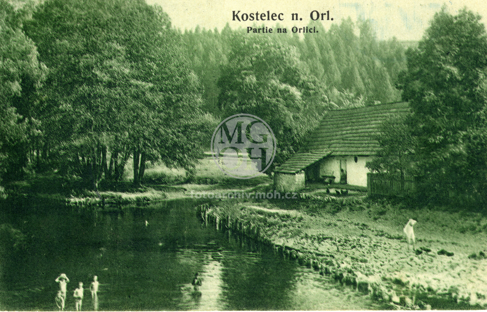 Fotografie - Divoká Orlice