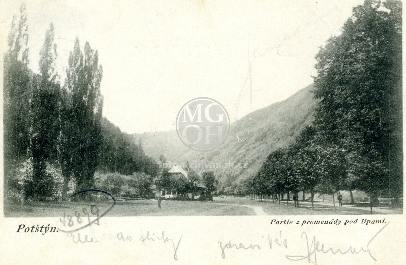 Fotografie - Partie pod lipami