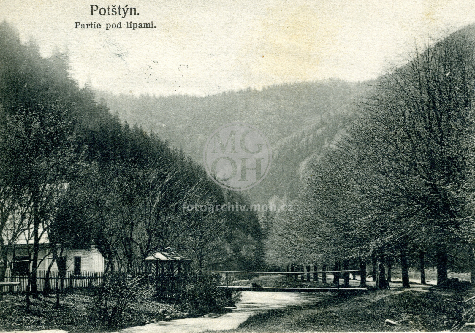 Fotografie - Partie pod lipami