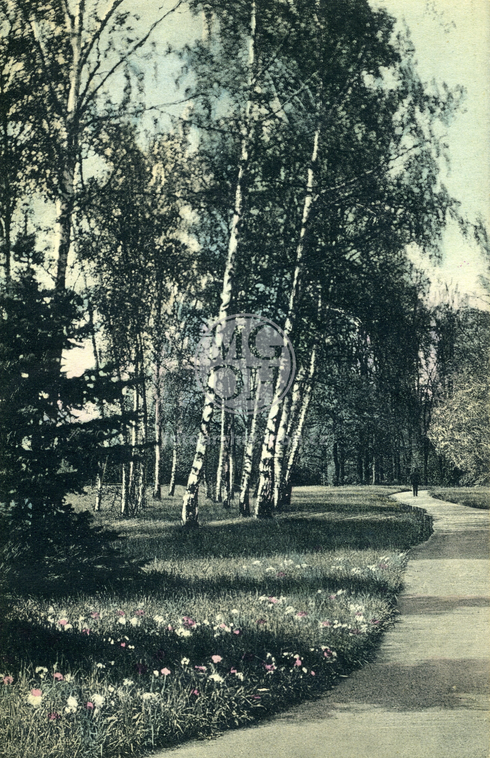 Fotografie - Partie z parku