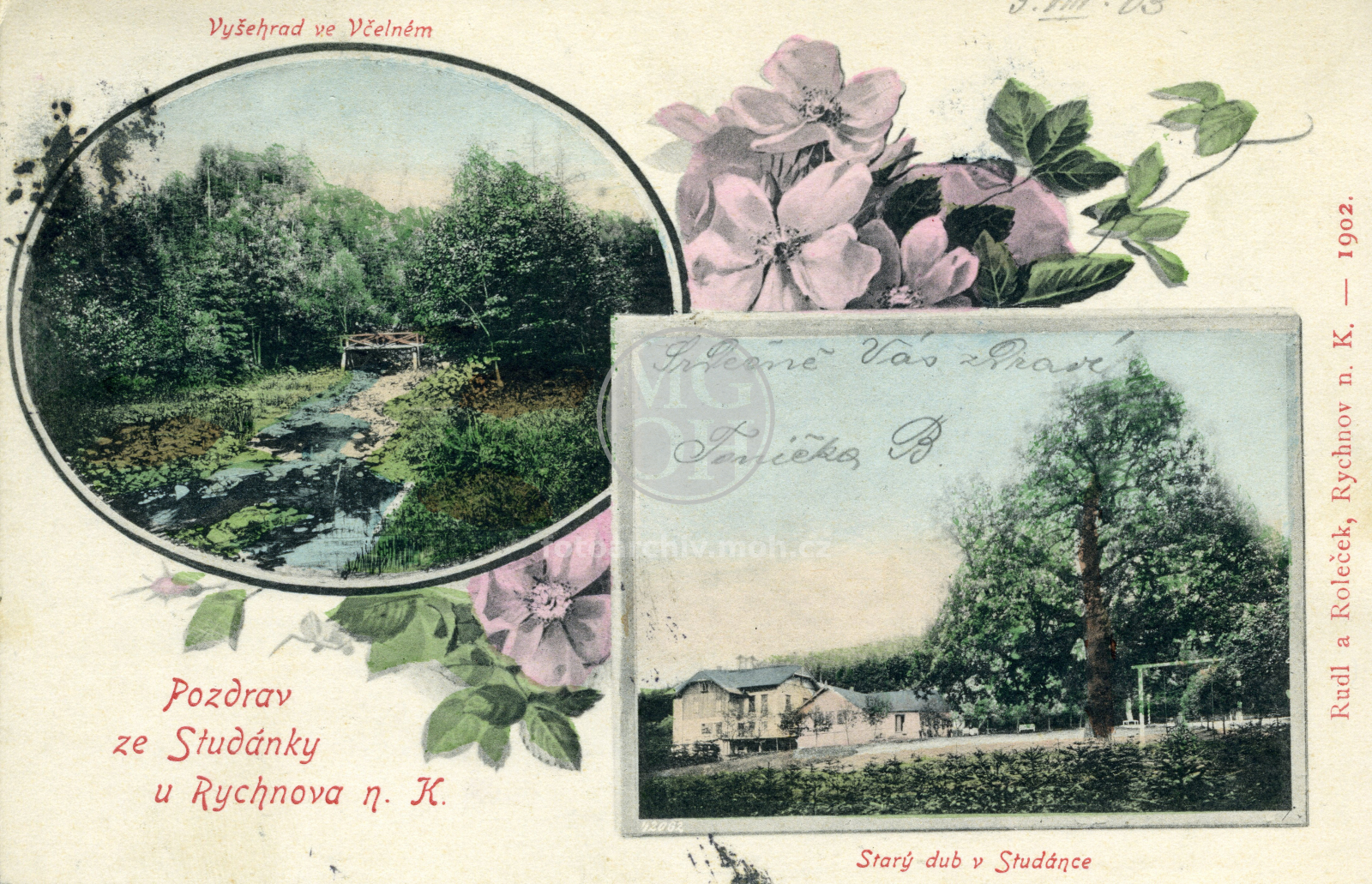 Fotografie - Studánka. Vyšehrad ve Včelném. Starý dub