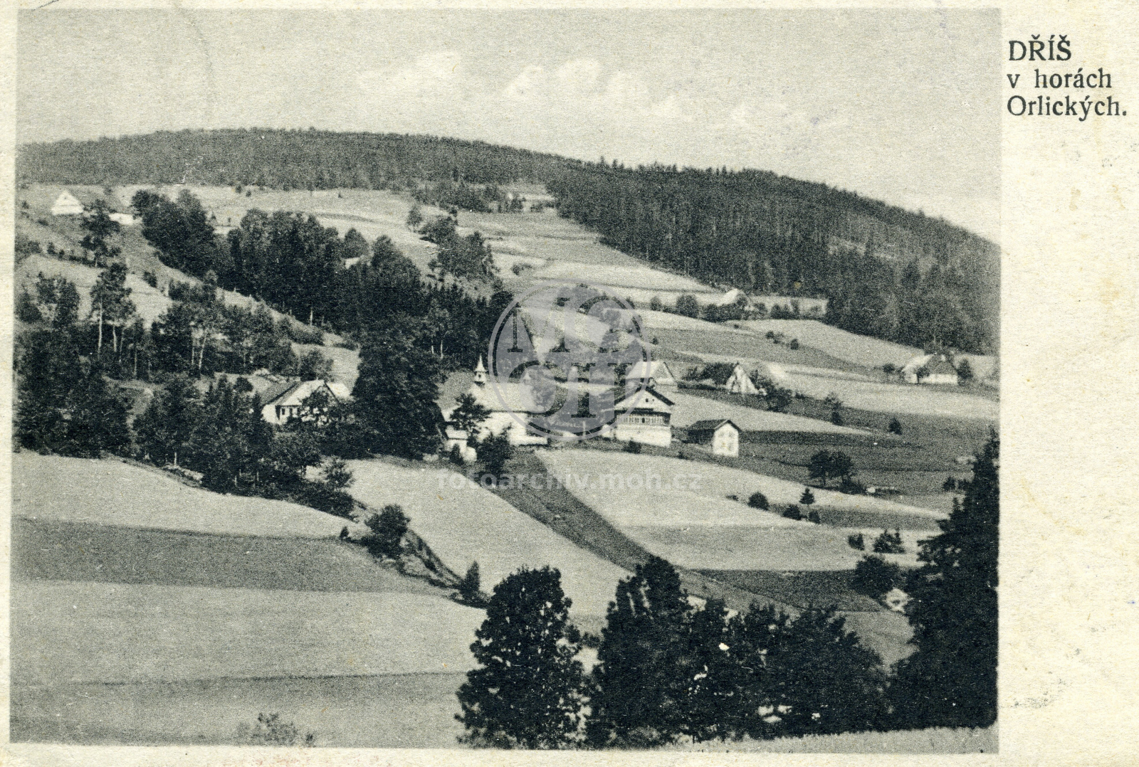 Fotografie - Dříš