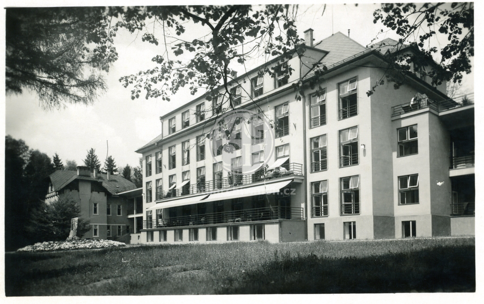 Fotografie - Albertinum