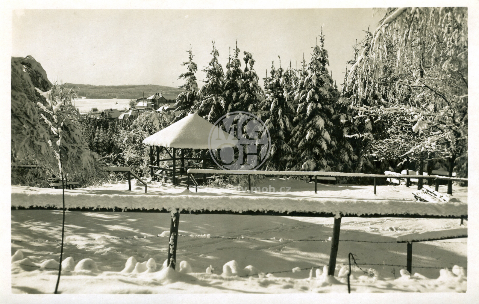 Fotografie - Partie zimní