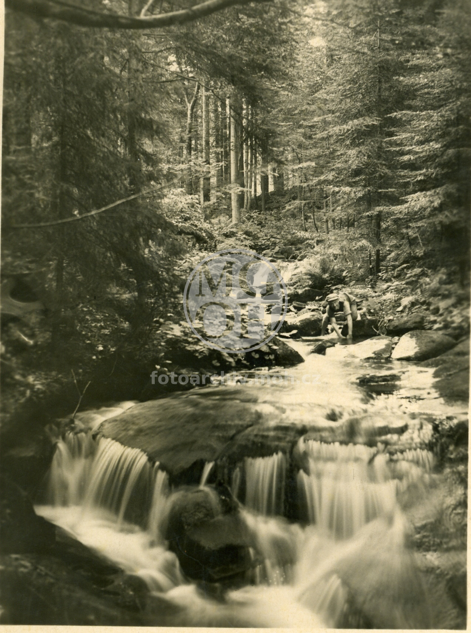 Fotografie - Partie bystřiny v lese