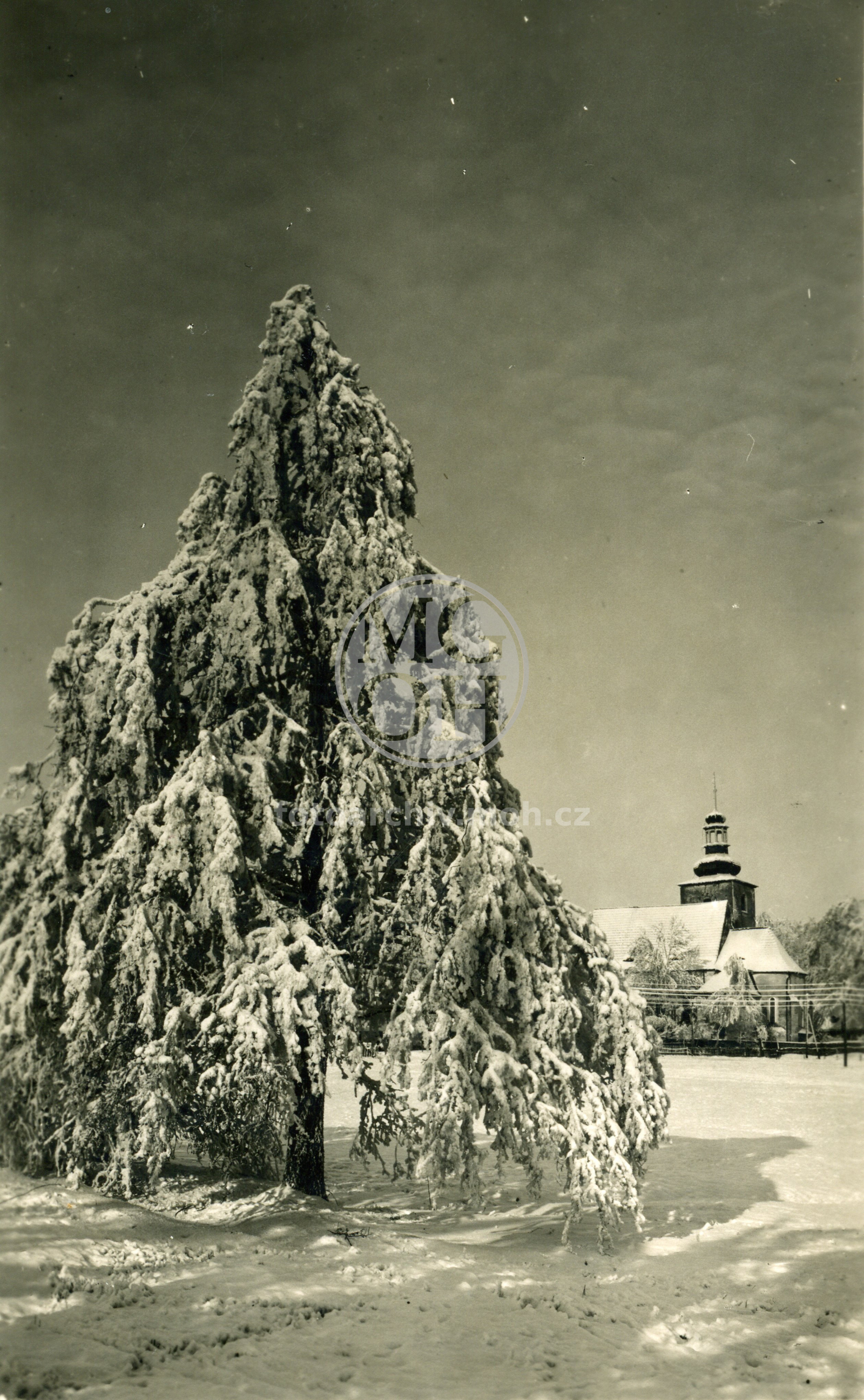 Fotografie - Zimní pohled (zasněžený strom, vzadu kostel)