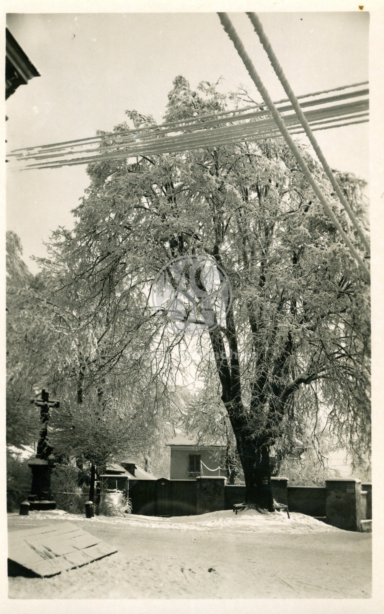 Fotografie - Zimní pohled