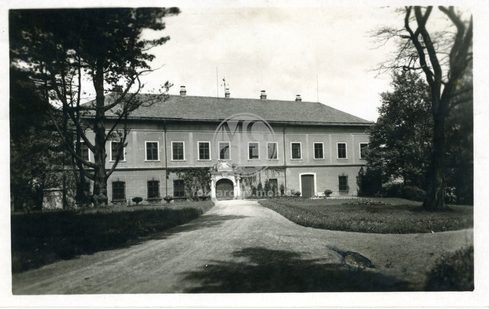 Fotografie - Zámek a park