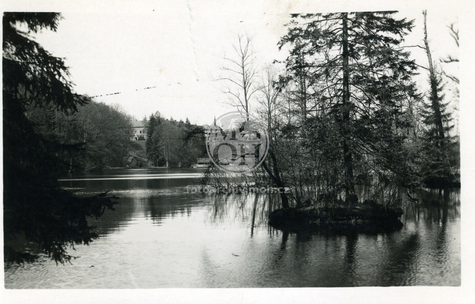 Fotografie - Partie v parku