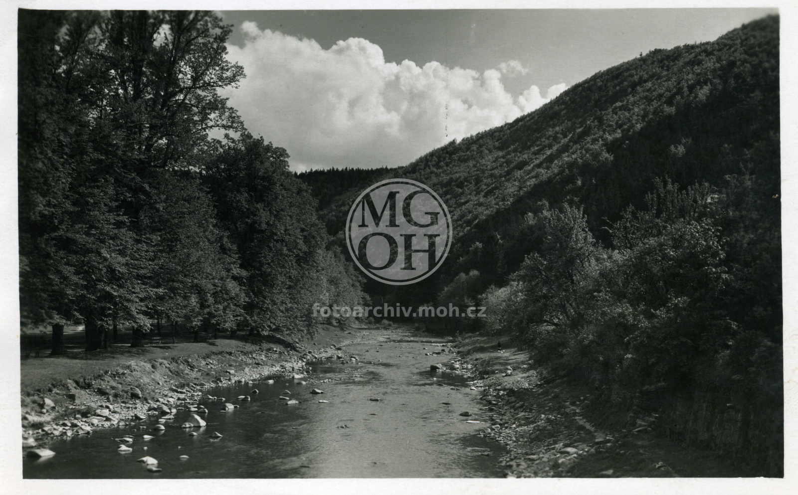 Fotografie - Divoká Orlice pod lipami