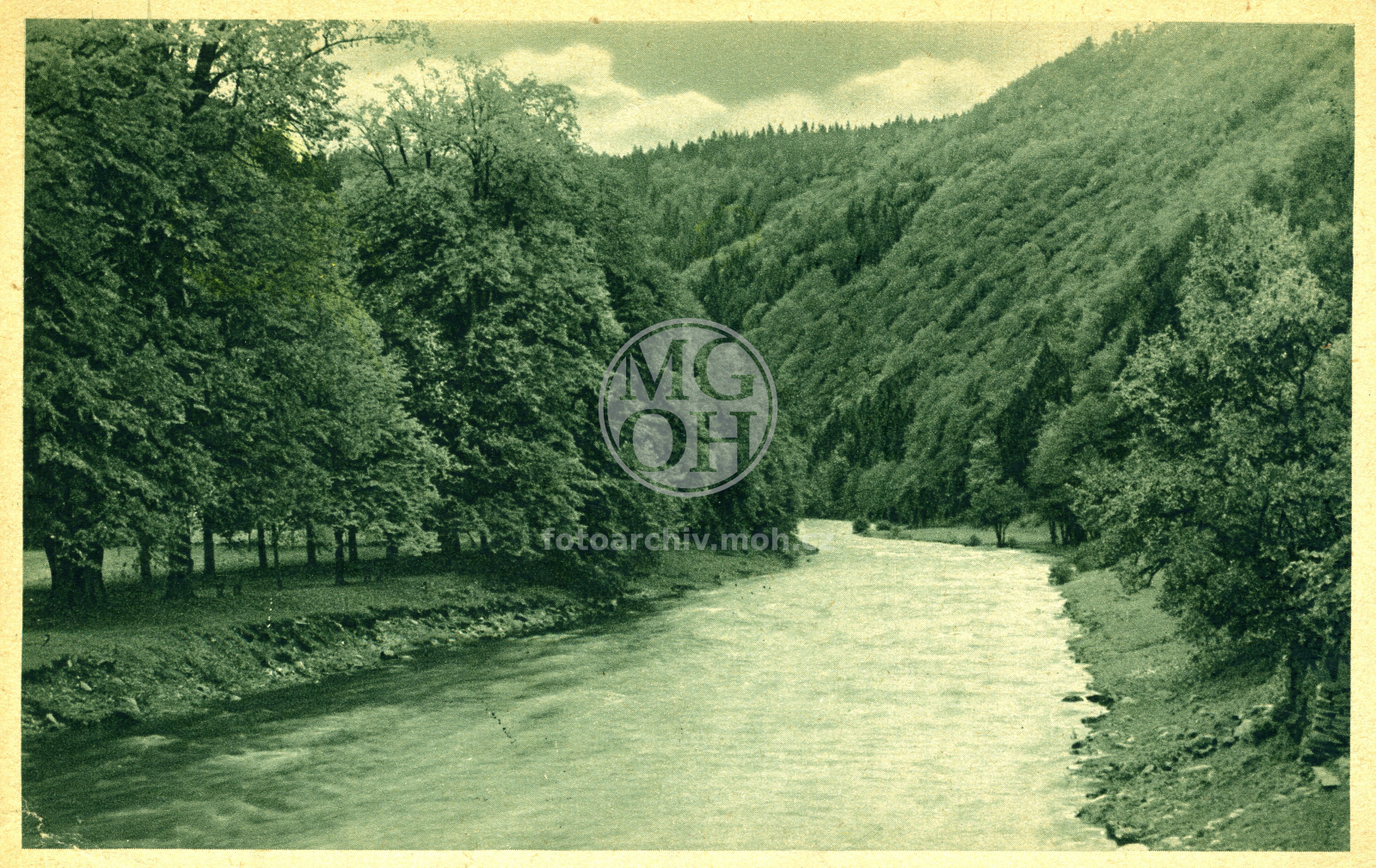 Fotografie - Divoká Orlice pod lipami