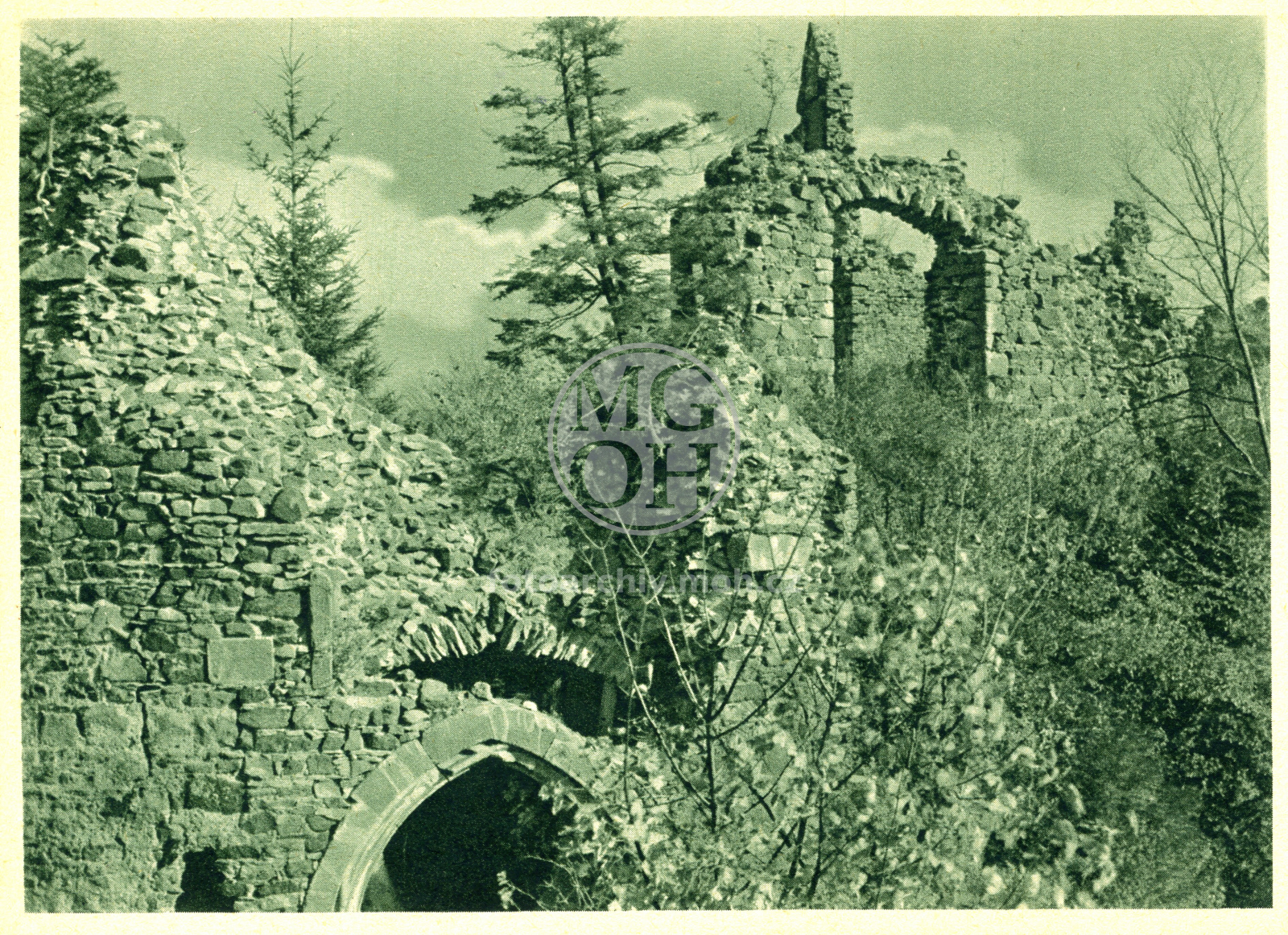 Fotografie - Zříceniny hradu