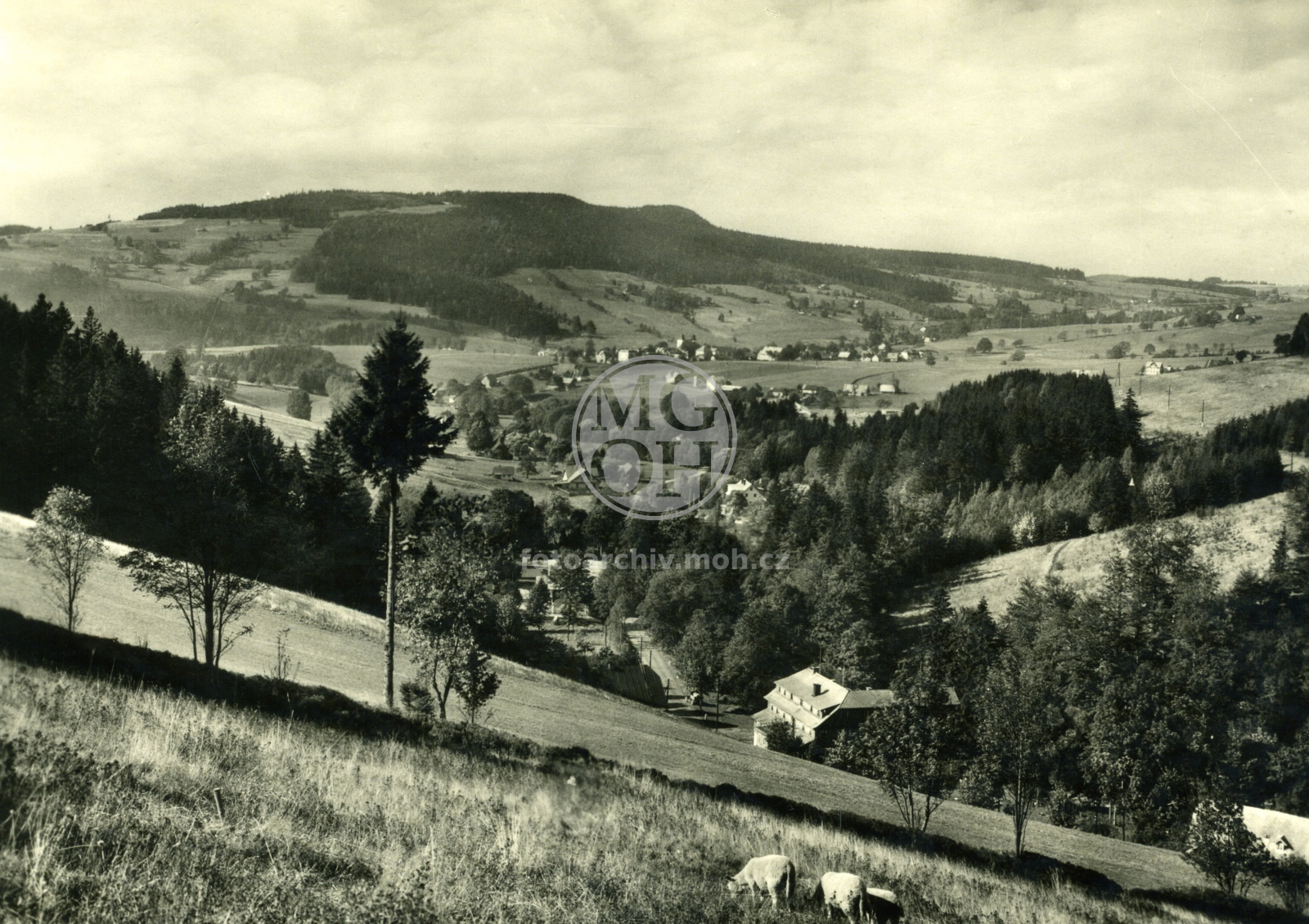 Fotografie - Pohled na Deštné v Orlických horách, údolí Jedlová - Zákoutí