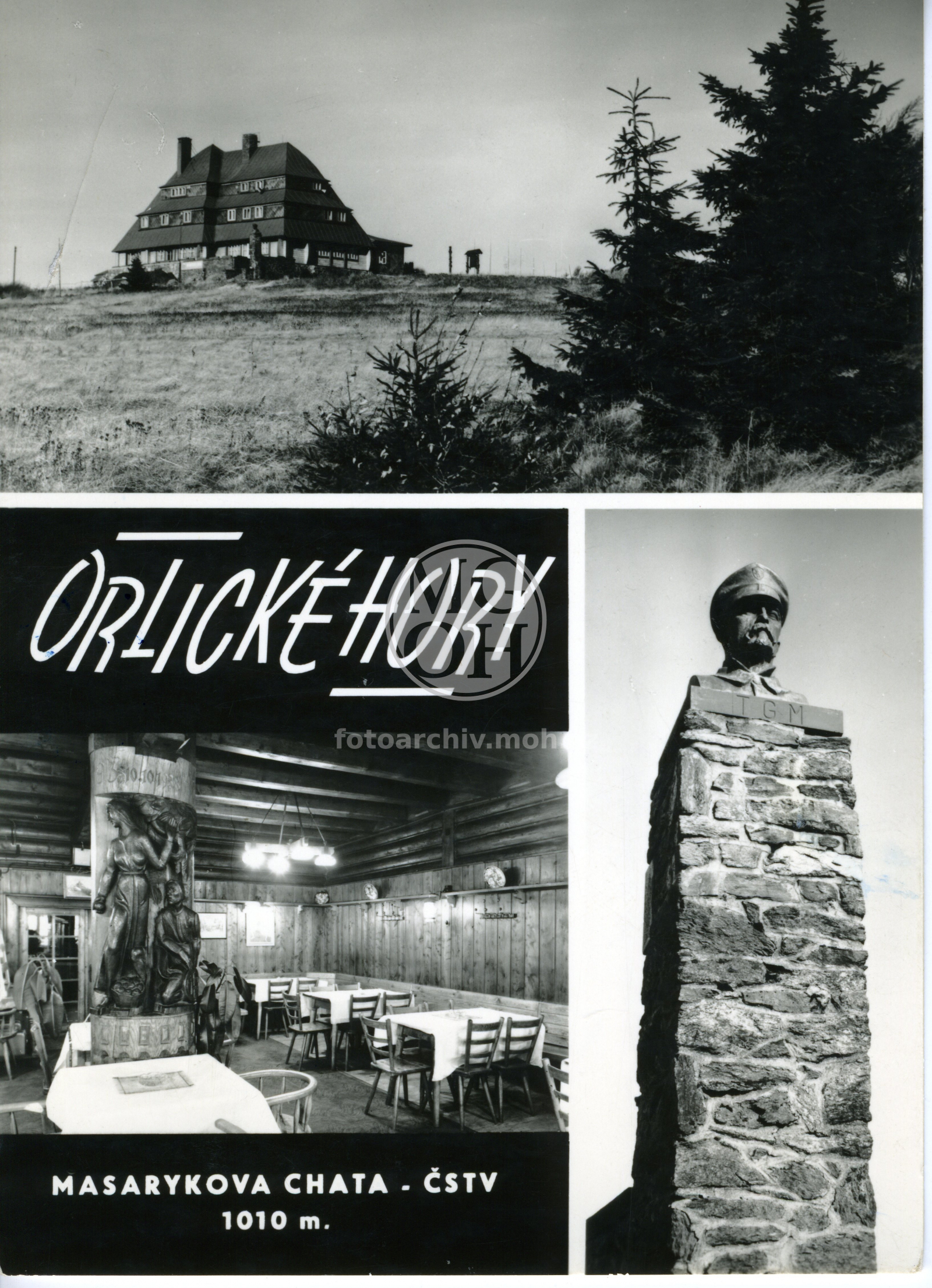 Fotografie - Masarykova chta na Šerlichu