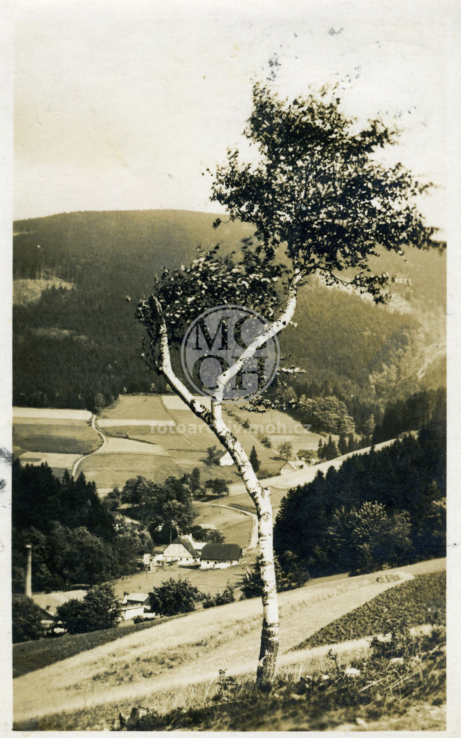 Fotografie - Pohled na Zákoutí