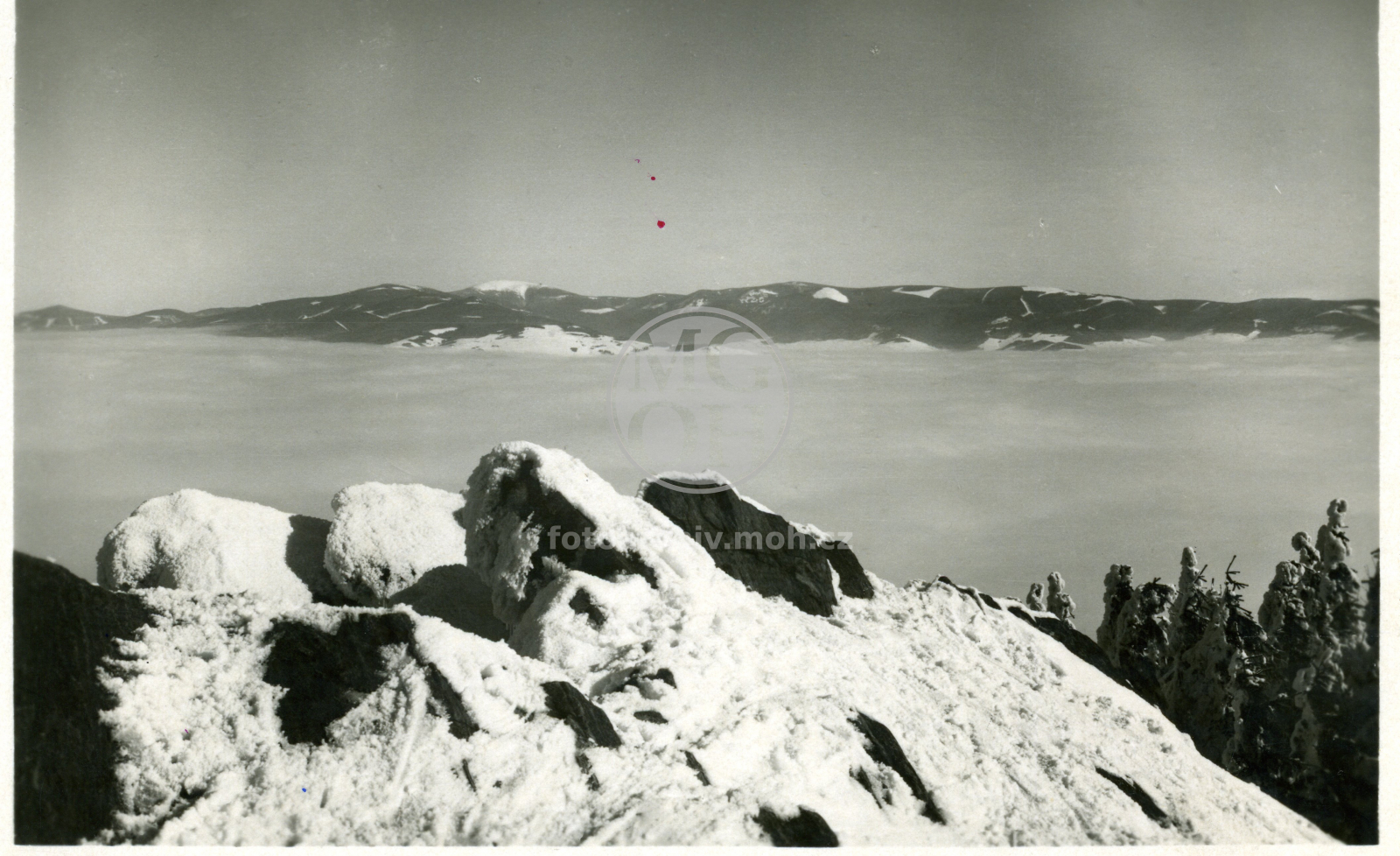 Fotografie - Zimní pohled na Králický Sněžník