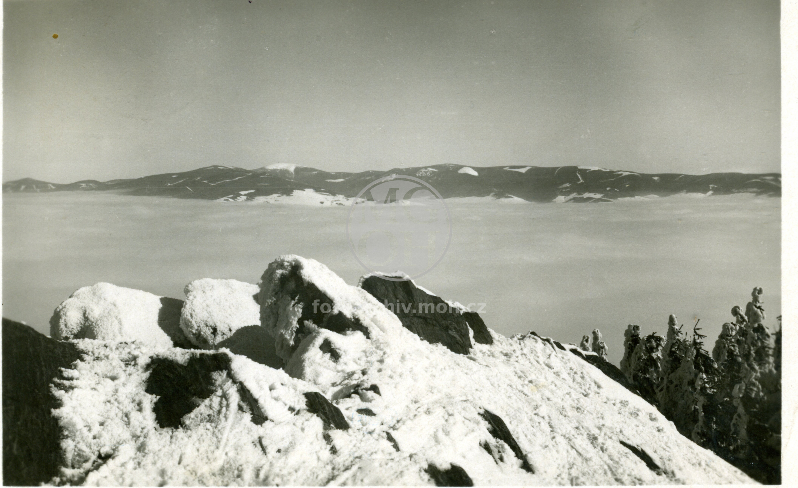 Fotografie - Zimní pohled na Králický Sněžník