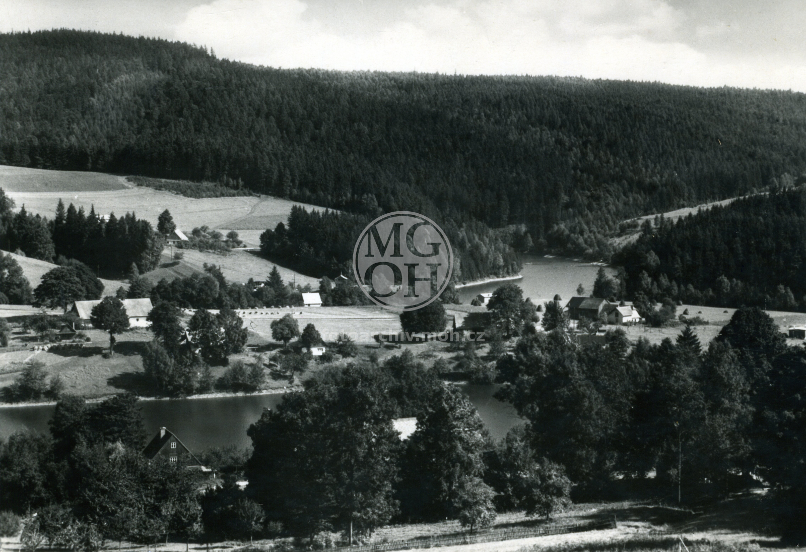 Fotografie - Pastviny