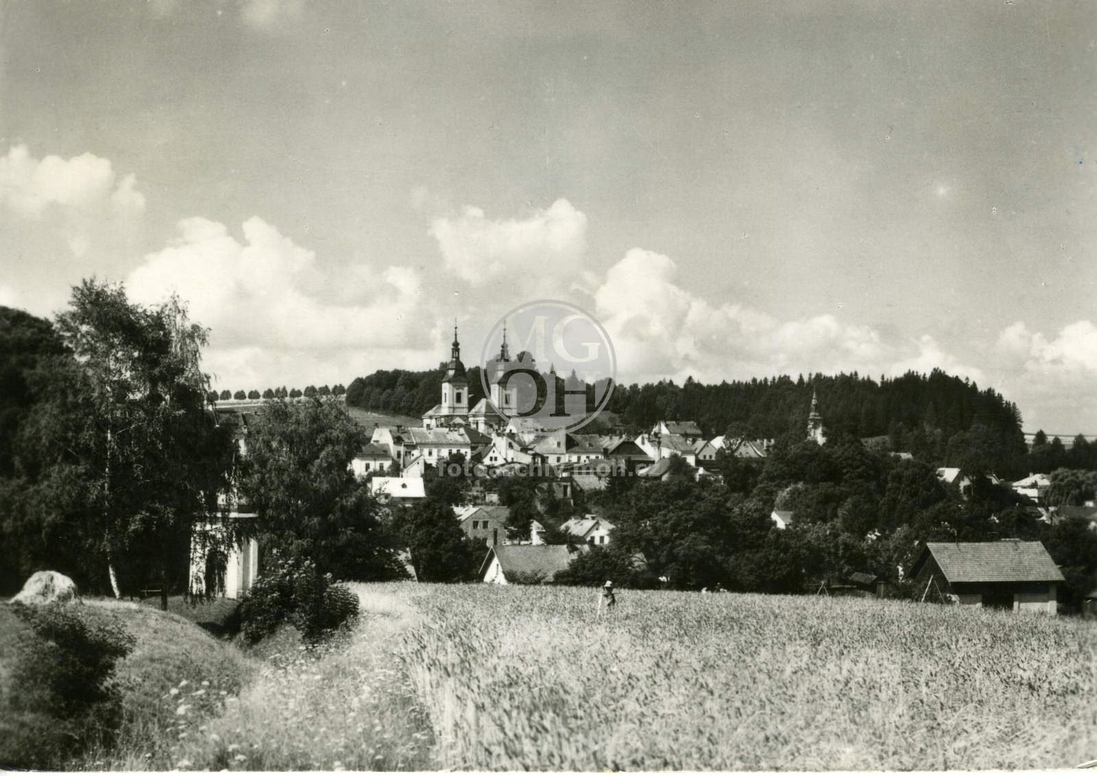 Fotografie - Pohled na Žamberk