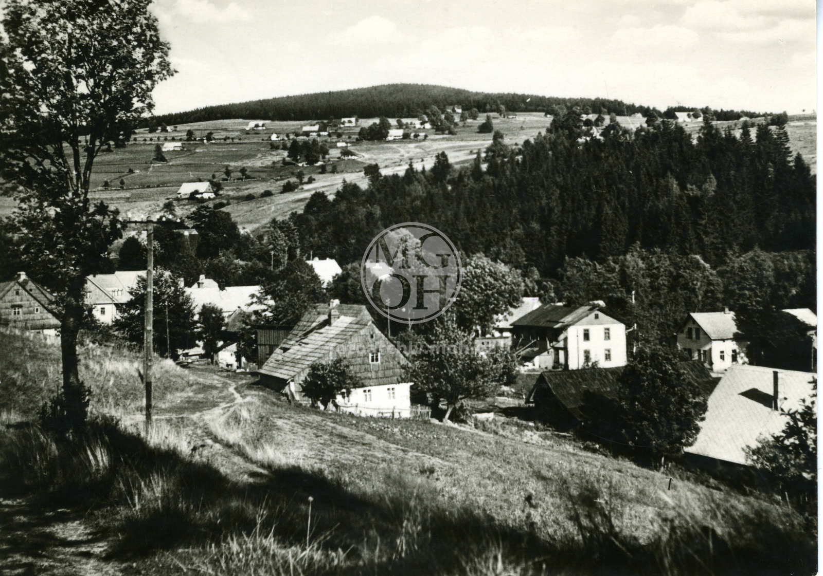 Fotografie - Pohled na Říčky v Orlických horách
