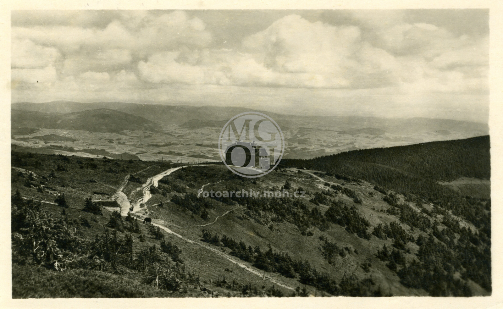 Fotografie - Králický Sněžník - Liechtensteinova chata