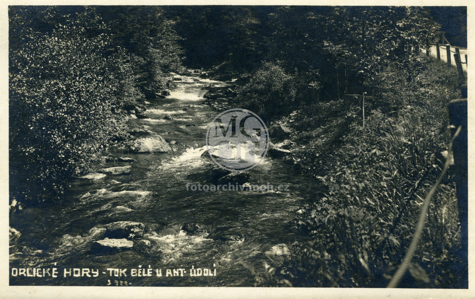 Fotografie - Tok Bělé