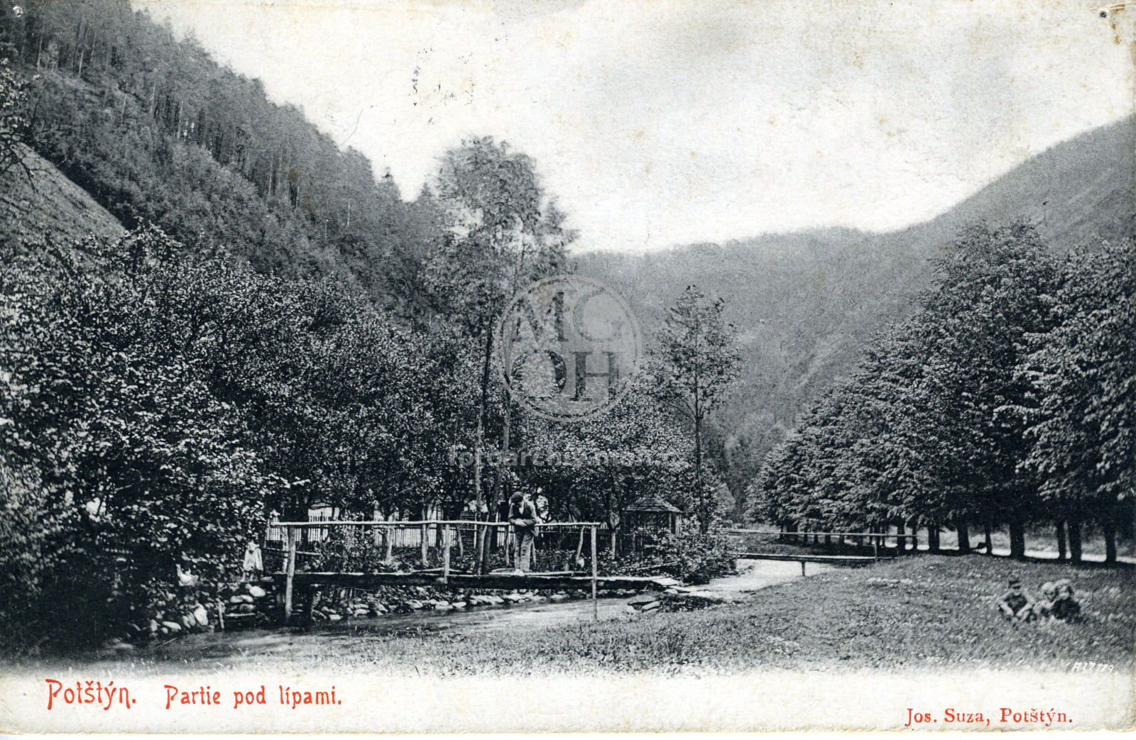 Fotografie - Pod lipami