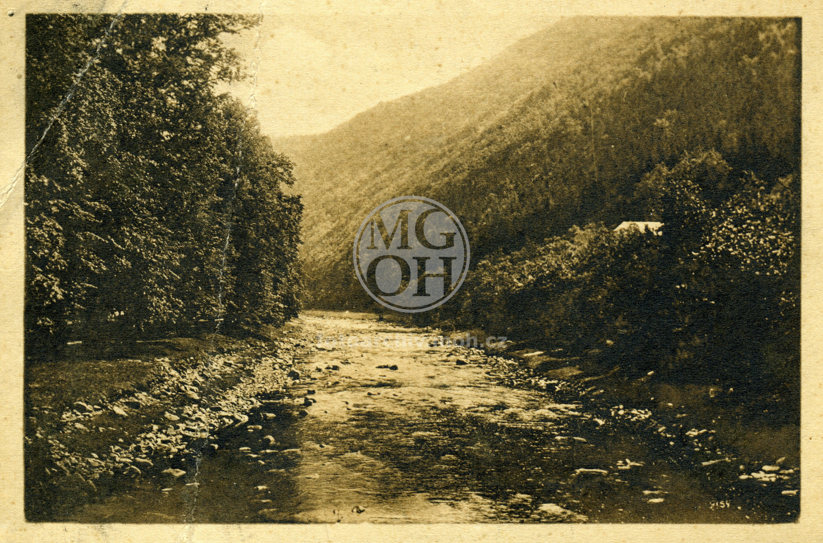 Fotografie - Partie na Divoké Orlici